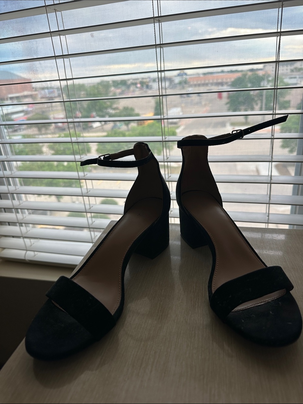 Classic Women's Black Ankle-Strap Block Heel Sandals